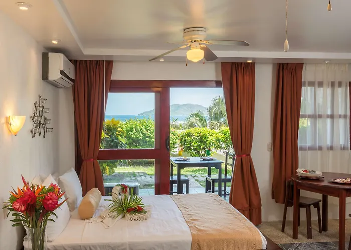 Maravida Social By Crazy Monkey Hotel 4*