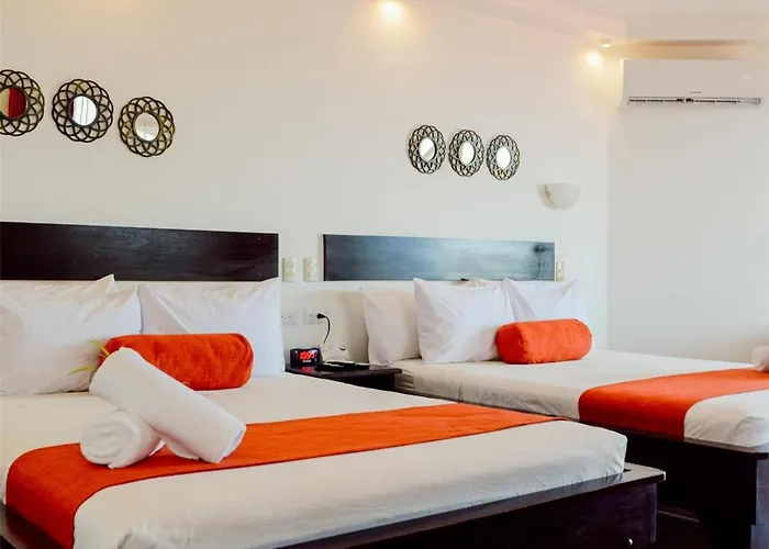 Maravida Social By Crazy Monkey Hotel 4*