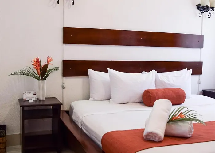 Maravida Social By Crazy Monkey Hotel 4*