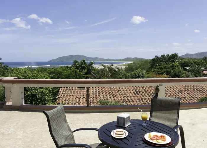 Maravida Social By Crazy Monkey 4* Tamarindo