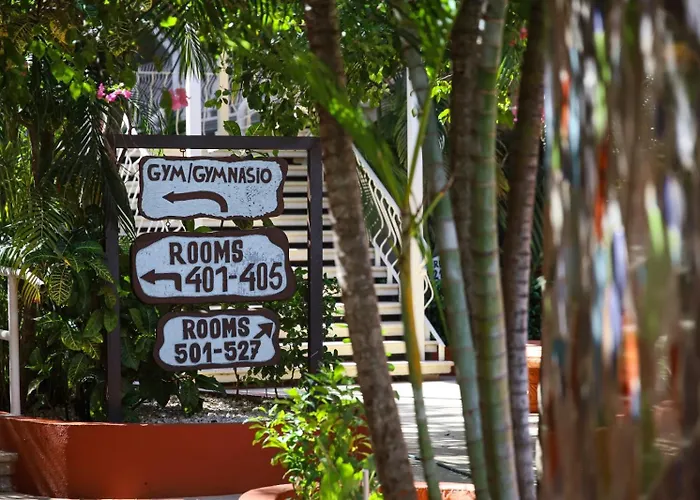 Maravida Social By Crazy Monkey Hotel Tamarindo
