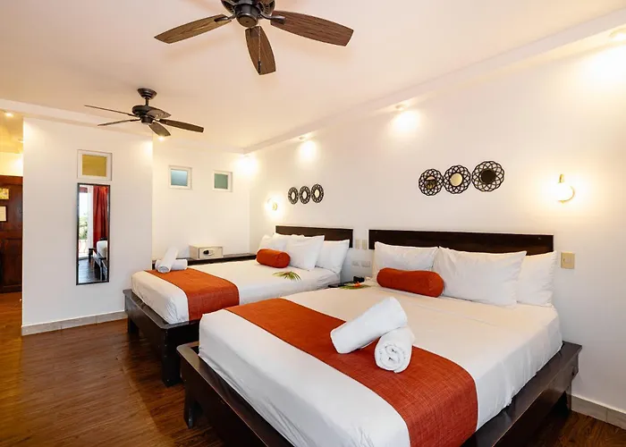 Maravida Social By Crazy Monkey Hotel