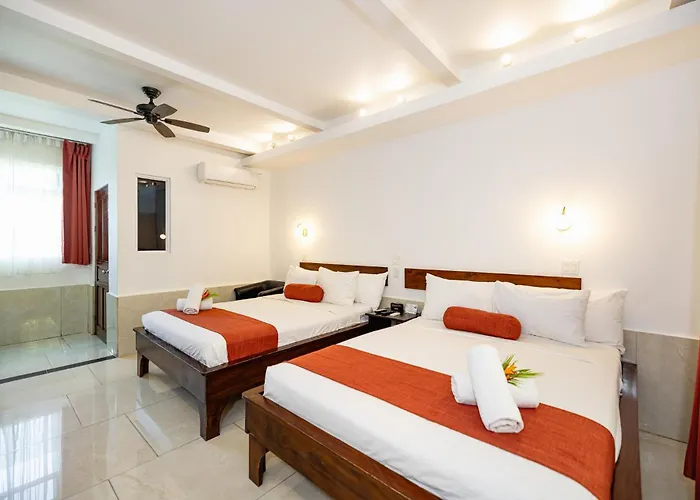 Hotel Maravida Social By Crazy Monkey 4*