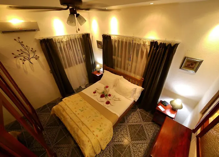 Hotel Maravida Social By Crazy Monkey